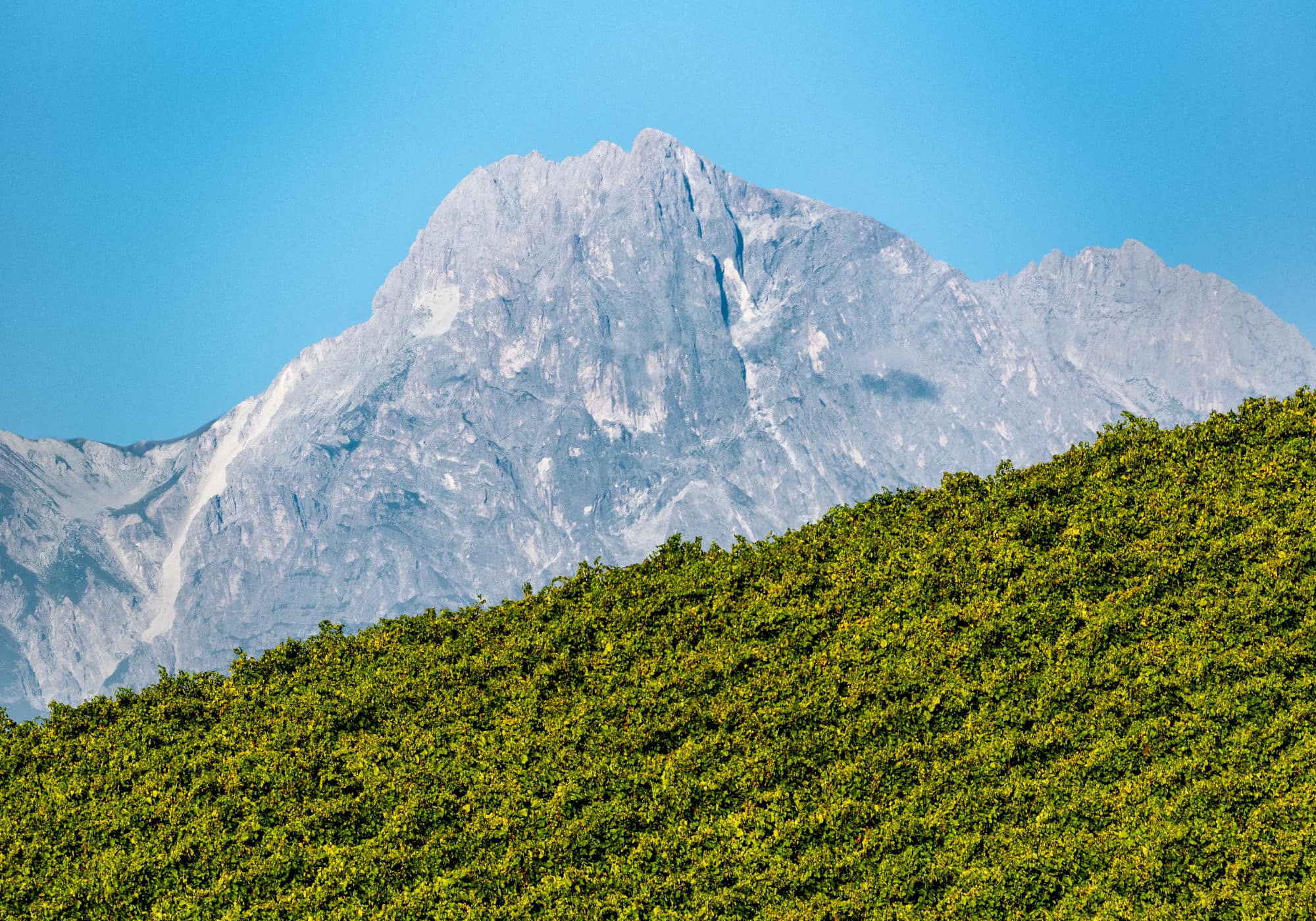 landscape gallery-001